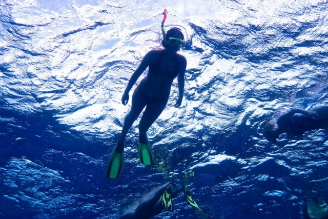 Keep swimming 